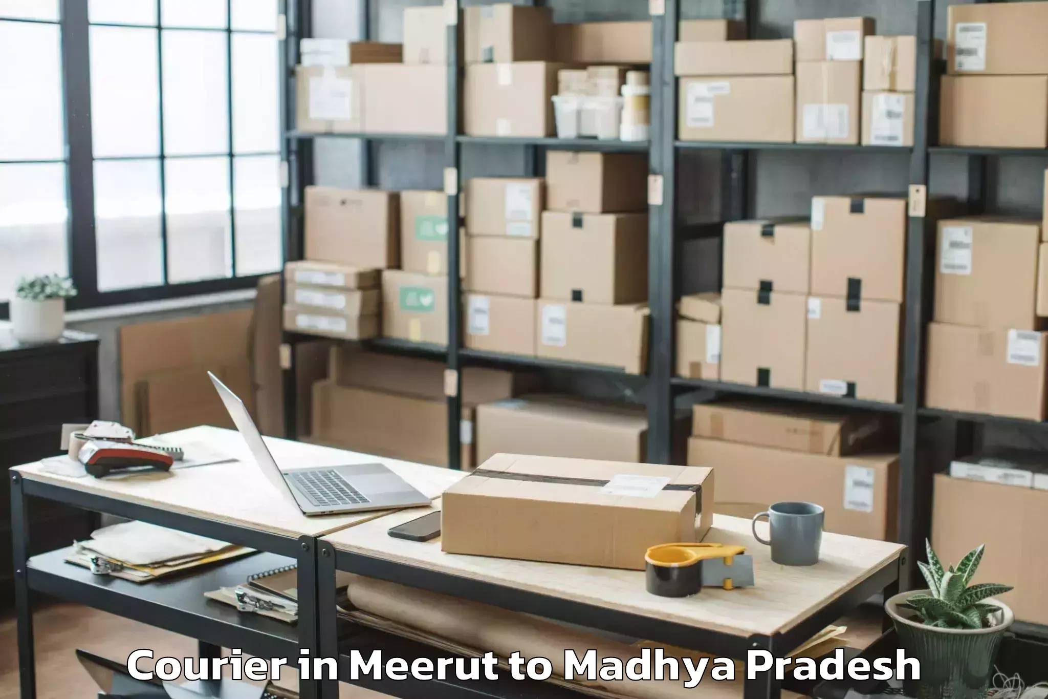 Efficient Meerut to Sanwer Courier